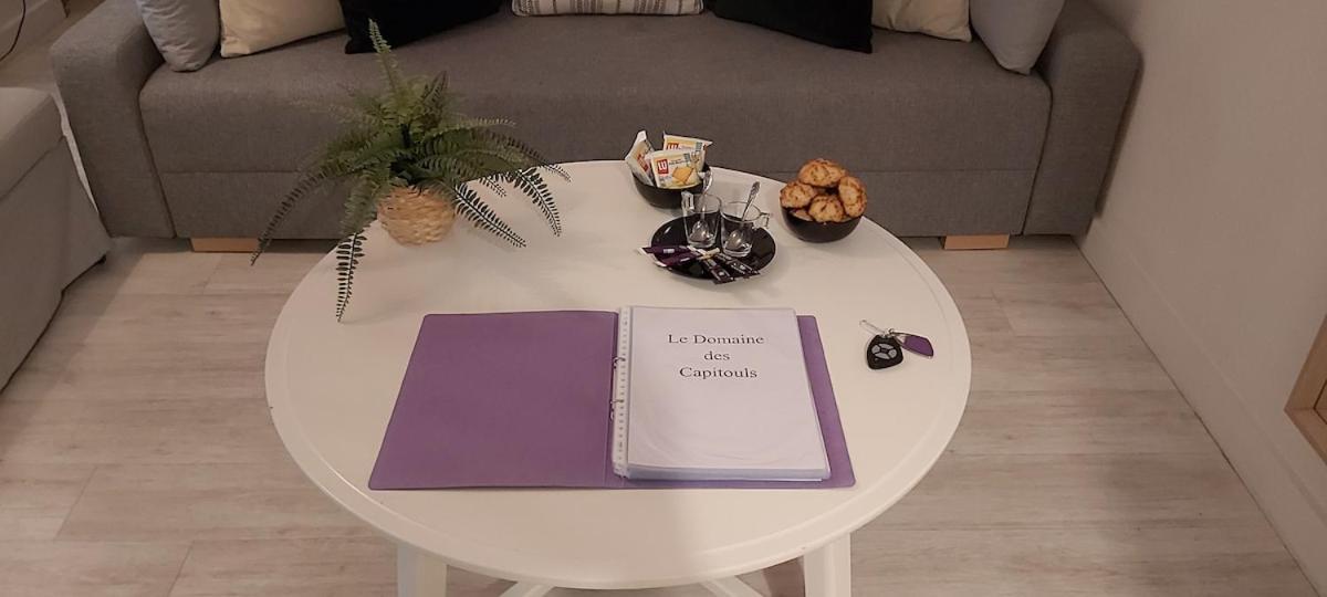 Les Capitouls - Avec Entree Autonome, Clim Neuve, Jardin, Parking Prive & Sa Piscine ! - Apartment Toulouse Luaran gambar