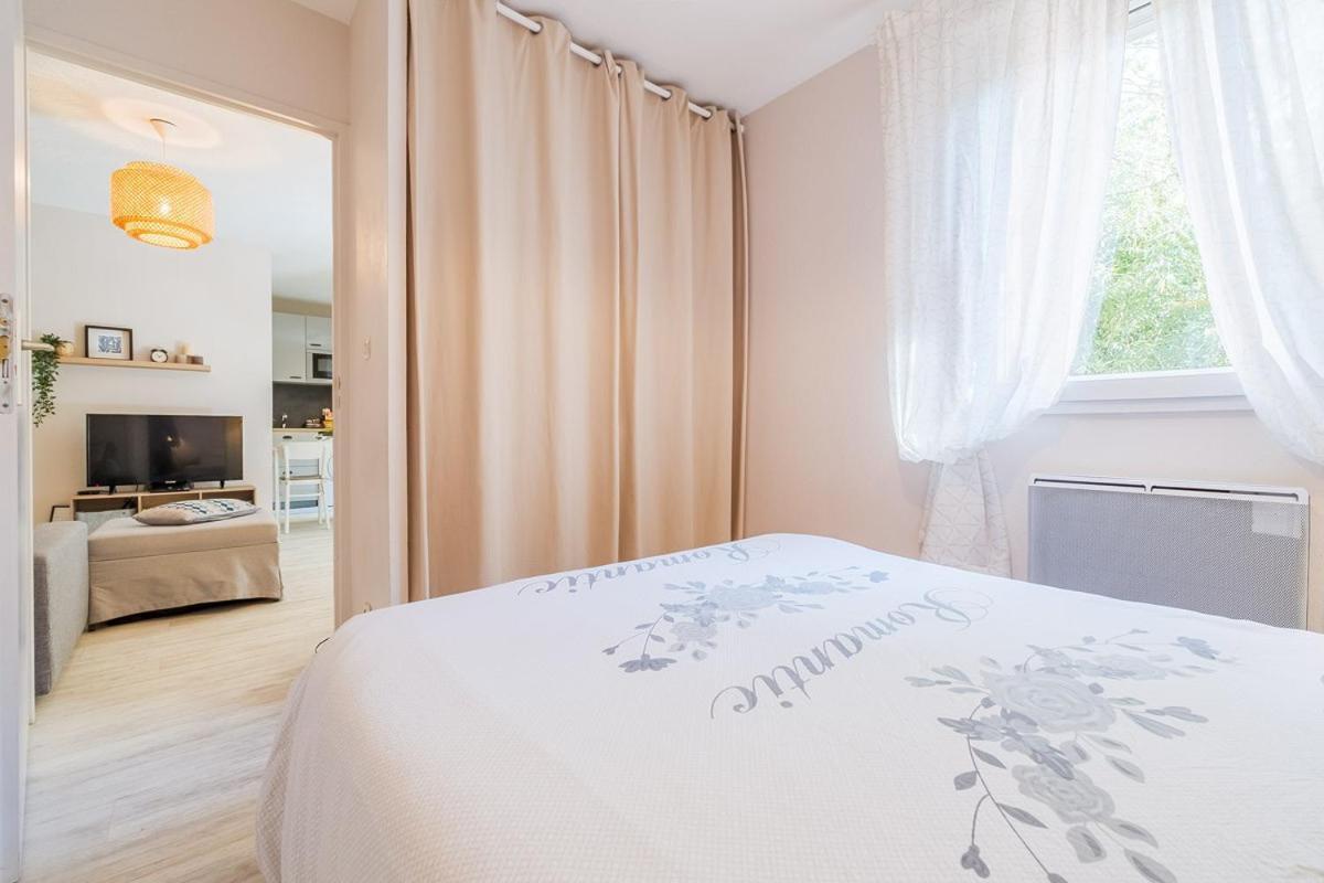 Les Capitouls - Avec Entree Autonome, Clim Neuve, Jardin, Parking Prive & Sa Piscine ! - Apartment Toulouse Luaran gambar